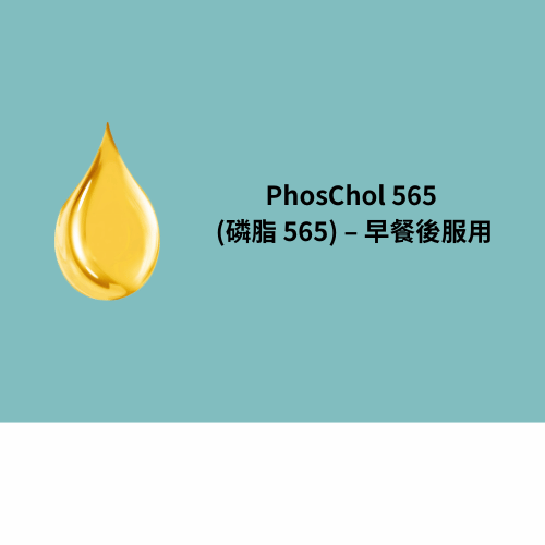 PhosChol 565 (磷脂 565) - 早餐後服用